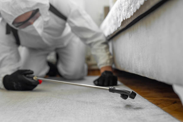 Professional Cockroach Control technician working in Bloomington, TX