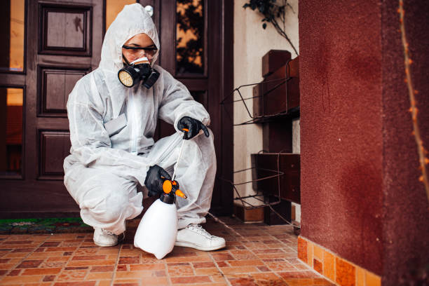 Reliable Cockroach Control contractor in Bloomington, TX by Nex Pest Control